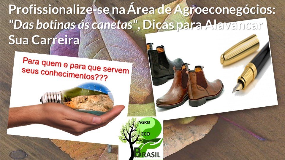 Agro Eco Brasil