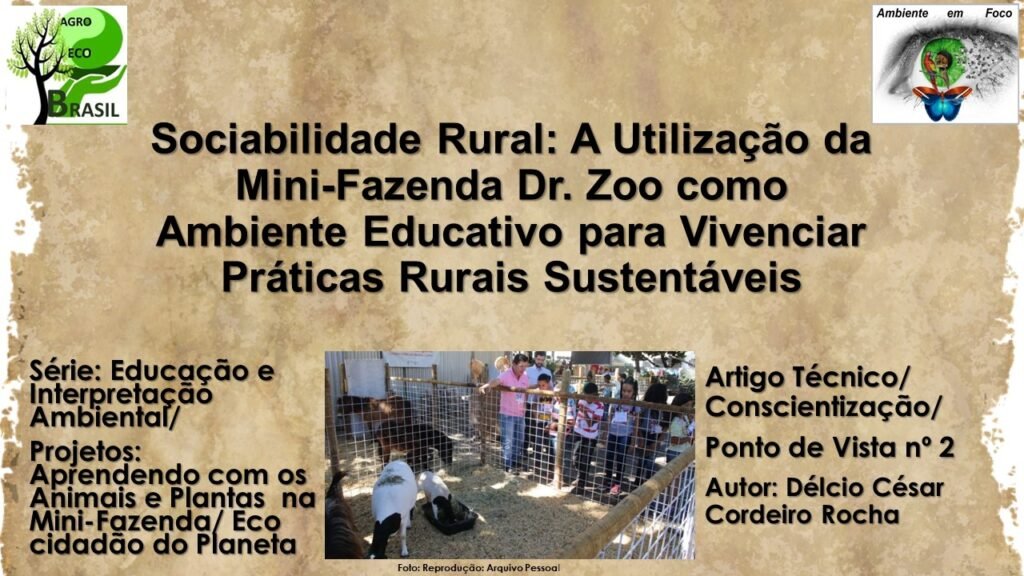 Mini Fazenda 2