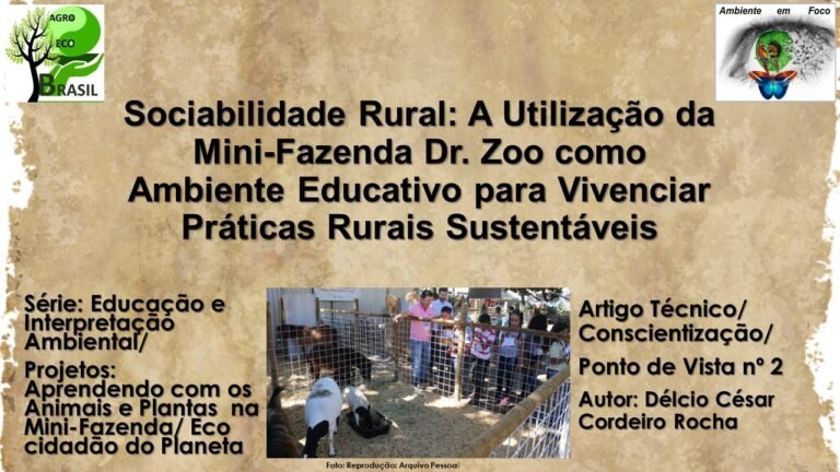 Mini Fazenda 2