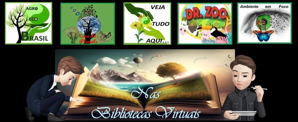 bibliotecasvirtuais.com