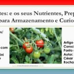 Agronegocios e as suas cadeias produtivas - tomate