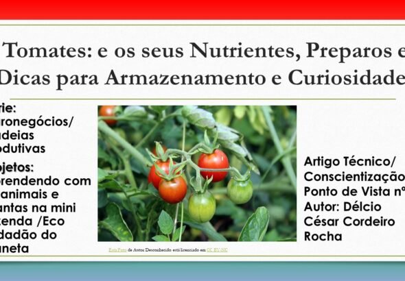 Agronegocios e as suas cadeias produtivas - tomate