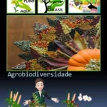 agrobiodiversidade