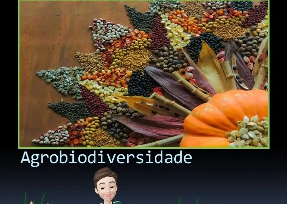 agrobiodiversidade
