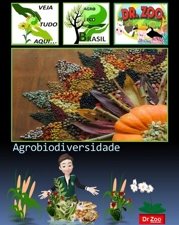 agrobiodiversidade